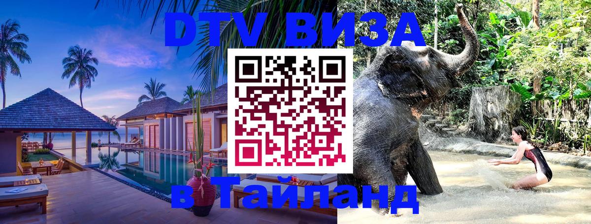 Оформление DTV визы под ключ: стоимость и тарифы, только загранпаспорт - 05.10.2025 